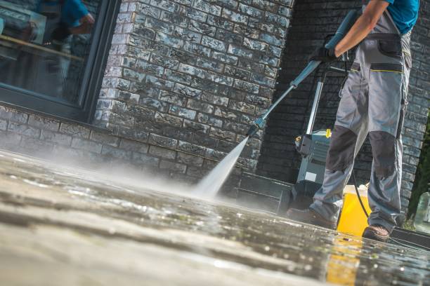 Best Winterizing Services  in Capac, MI
