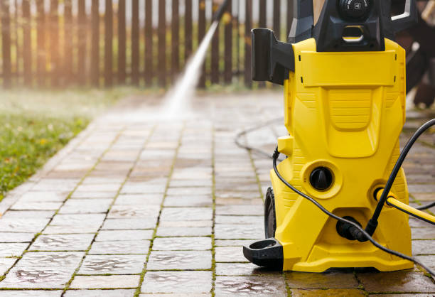 Animal Enclosure Cleaning in Capac, MI